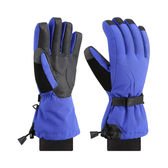 Ski Gloves